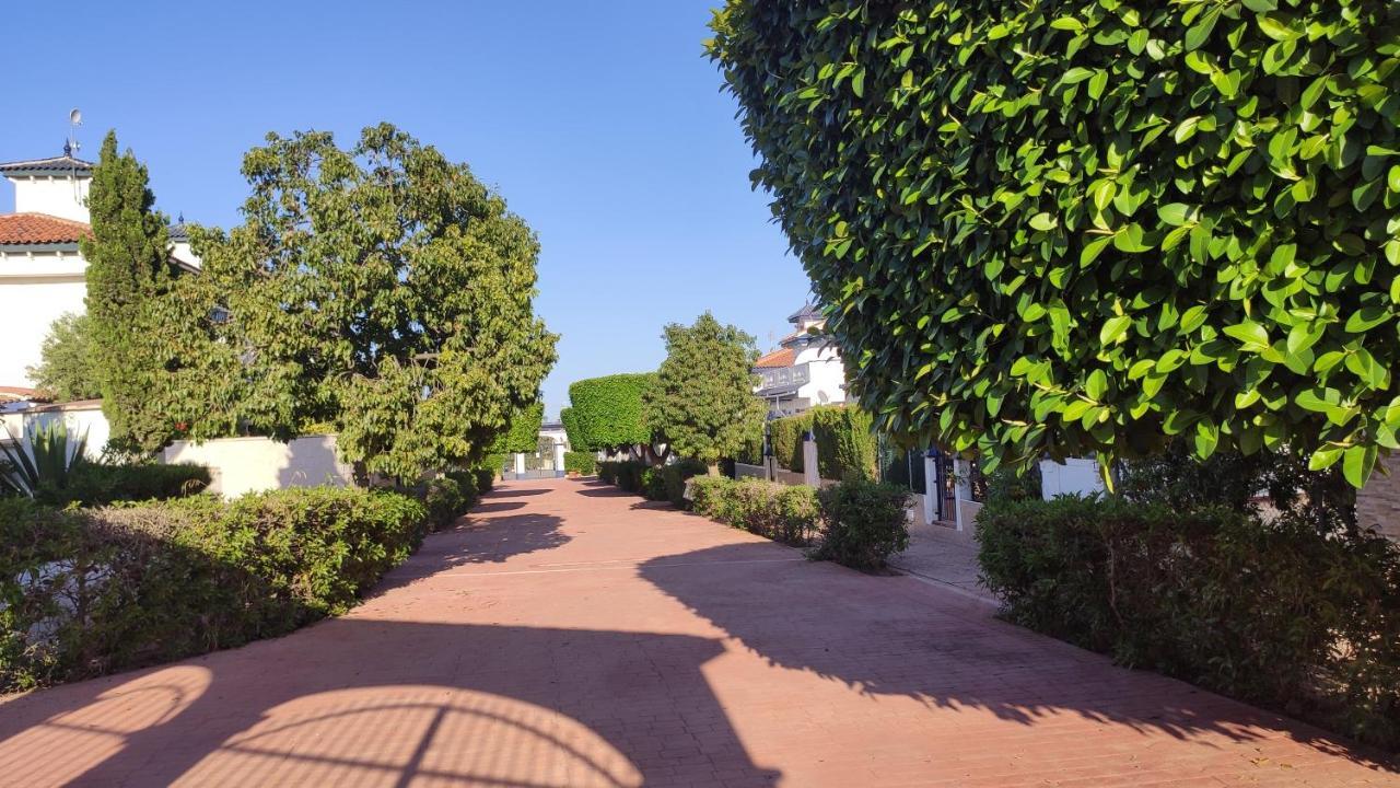 Apartamento Parquemar Apartment La Mata  Exterior photo